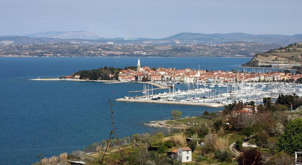 Apartma Soncek Izola Zewnętrze zdjęcie